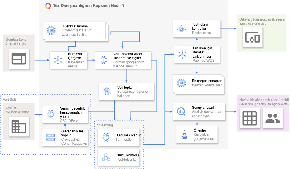 Tez danışmanlığı