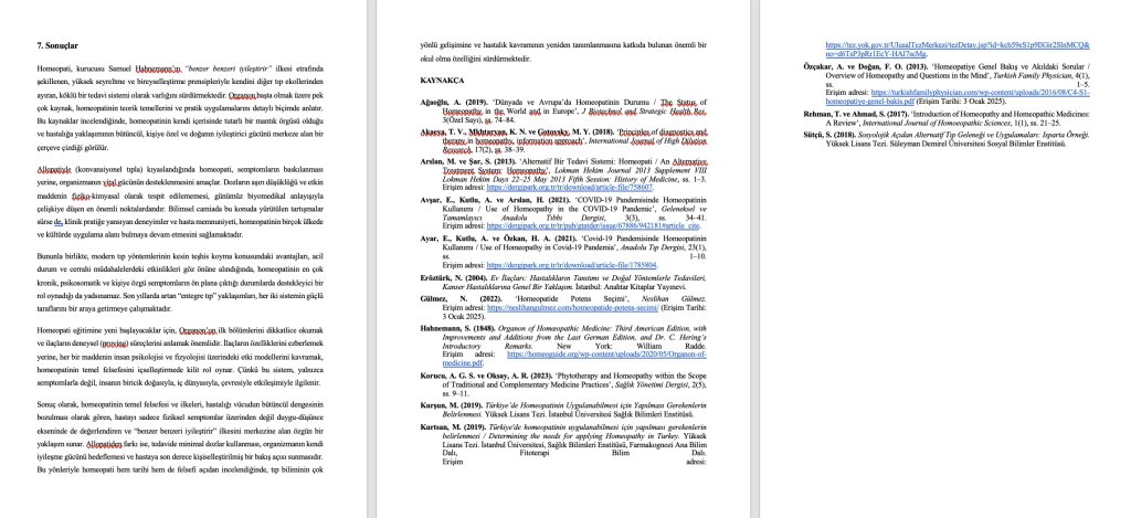 Kaynakça formatı bölümü