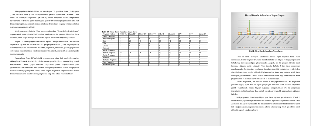 içerik analizi bölümü
